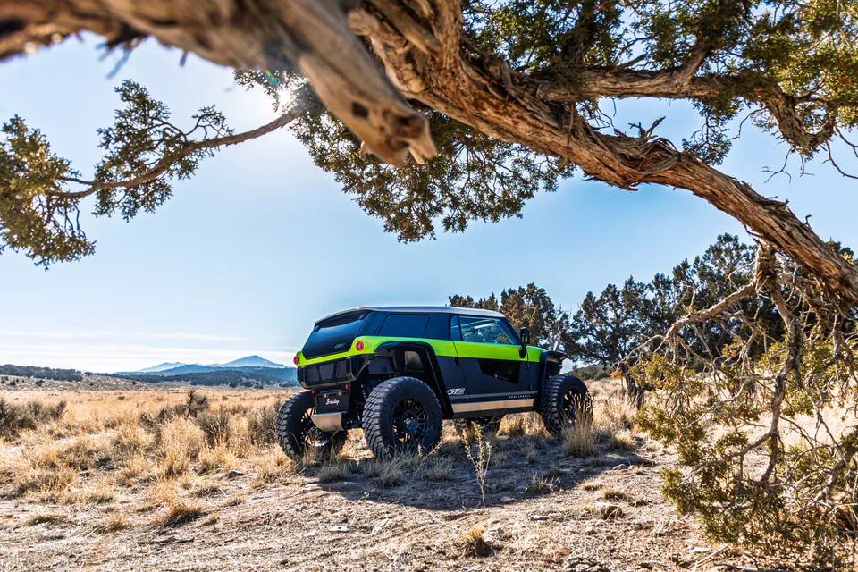 Green Vanderhall Brawley beneath a juniper with snow-dusted peaks behind